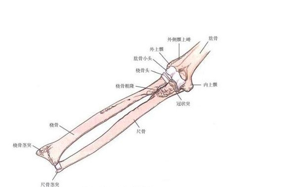 做错一个动作瞬间前臂双骨折，罗氏正骨疗法神奇